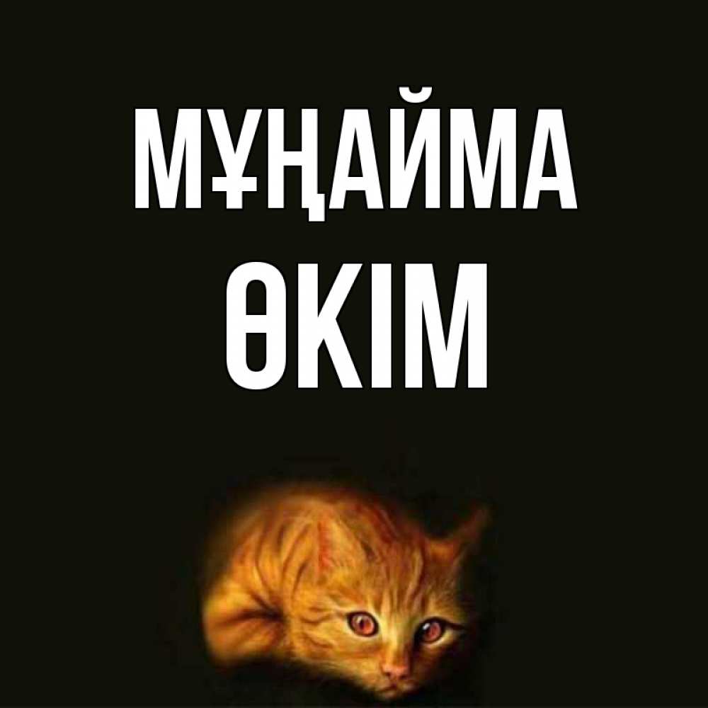 Күн сайын ашық хат с именем, ӨКІМ Мұңайма лежащий кот в темноте Онлайн тегін жүктеп алу тілектері бар керемет карта 