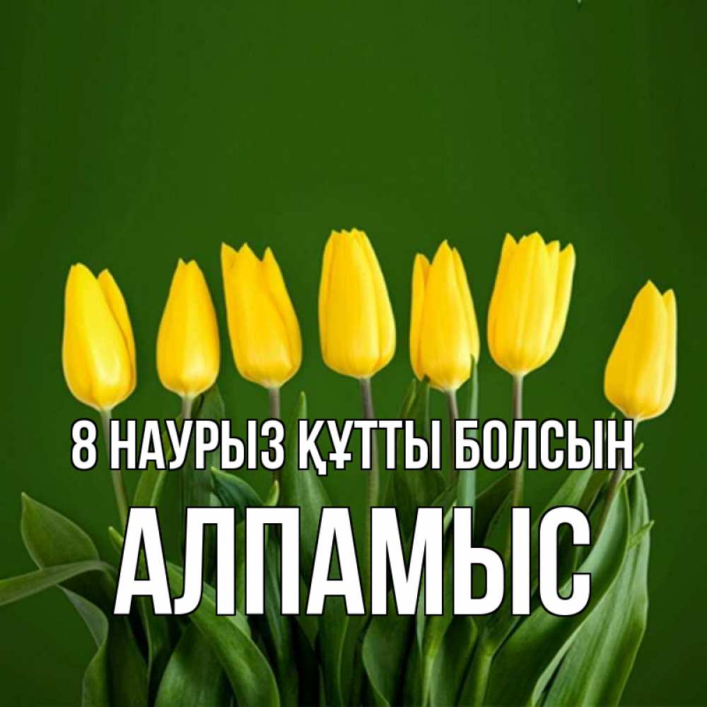 Күн сайын ашық хат с именем, Алпамыс 8 наурыз құтты болсын желтого цвета 3 Онлайн тегін жүктеп алу тілектері бар керемет карта 