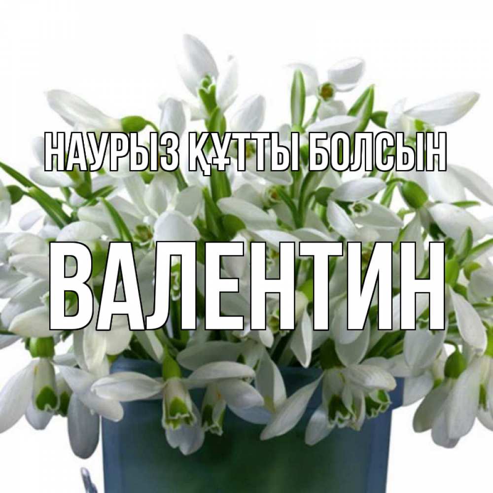 Күн сайын ашық хат с именем, Валентин Наурыз құтты болсын цветы к наурызу Онлайн тегін жүктеп алу тілектері бар керемет карта 