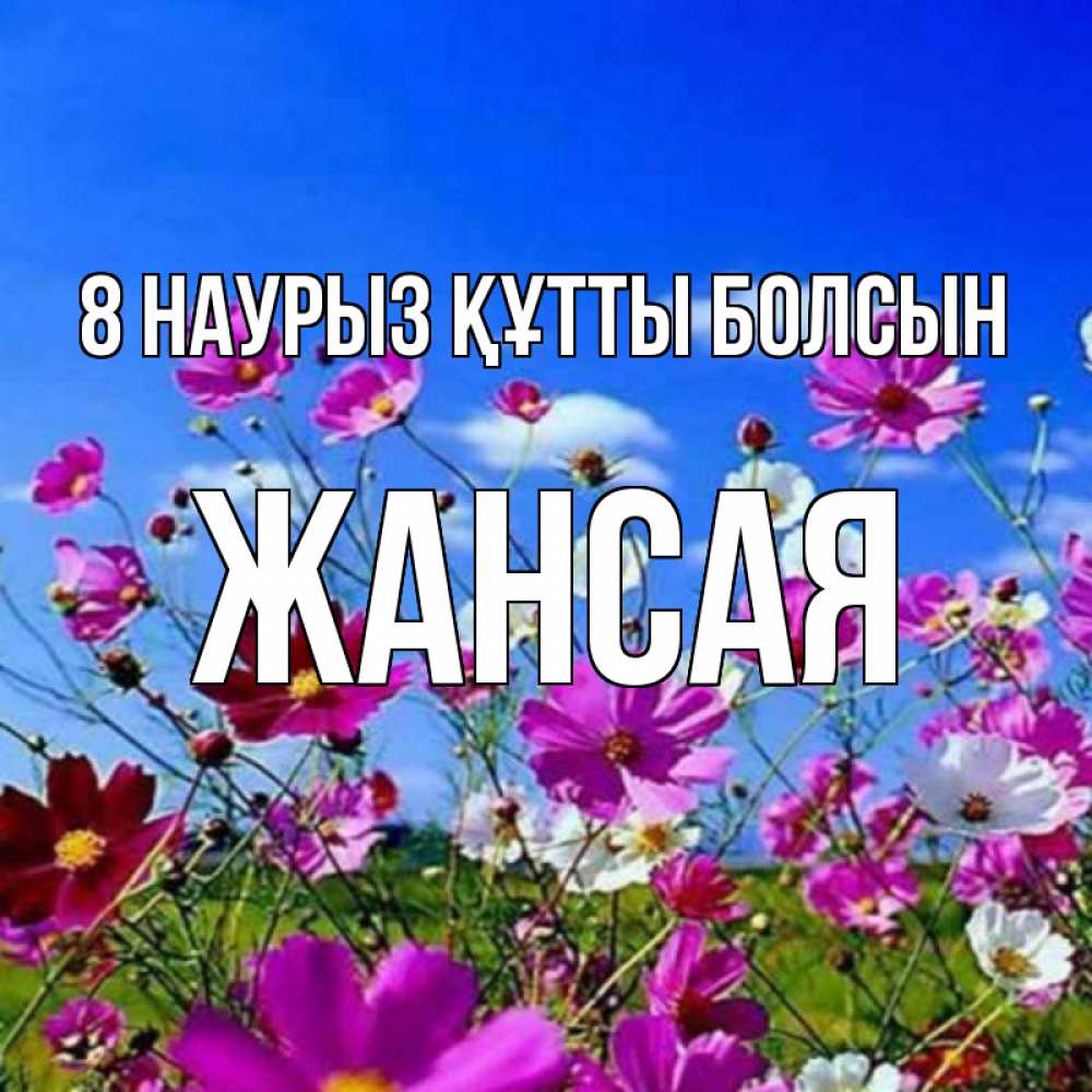 Күн сайын ашық хат с именем, ЖАНСАЯ 8 наурыз құтты болсын цветы Онлайн тегін жүктеп алу тілектері бар керемет карта 
