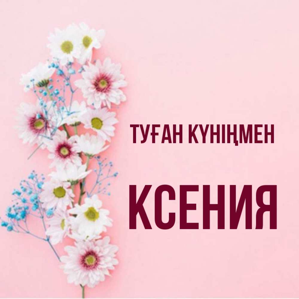 Күн сайын ашық хат с именем, Ксения Туған күніңмен Родная моя с днем рождения тебя картинка с цветами белыми и голубыми Онлайн тегін жүктеп алу тілектері бар керемет карта 