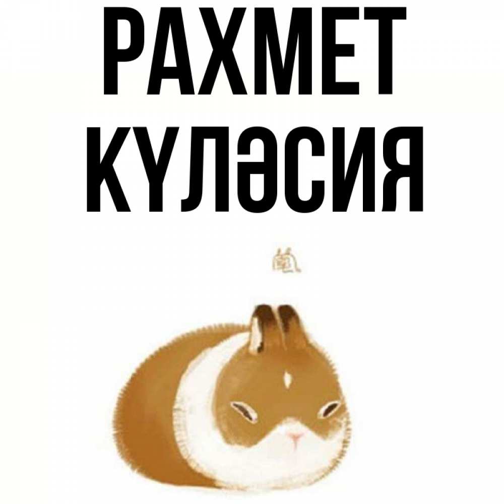Күн сайын ашық хат с именем, КҮЛӘСИЯ рахмет коричнево белый домашний питомец Онлайн тегін жүктеп алу тілектері бар керемет карта 