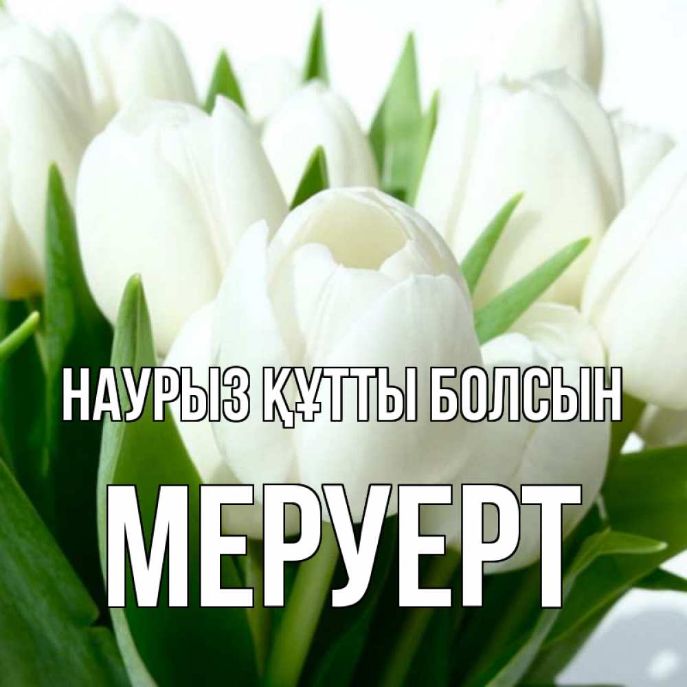 Күн сайын ашық хат с именем, МЕРУЕРТ Наурыз құтты болсын цветы Онлайн тегін жүктеп алу тілектері бар керемет карта 