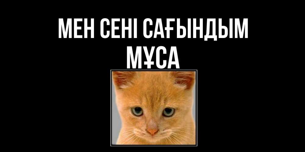Күн сайын ашық хат с именем, МҰСА Мен сені сағындым открытки рыжий котенок скучает по тебе Онлайн тегін жүктеп алу тілектері бар керемет карта 