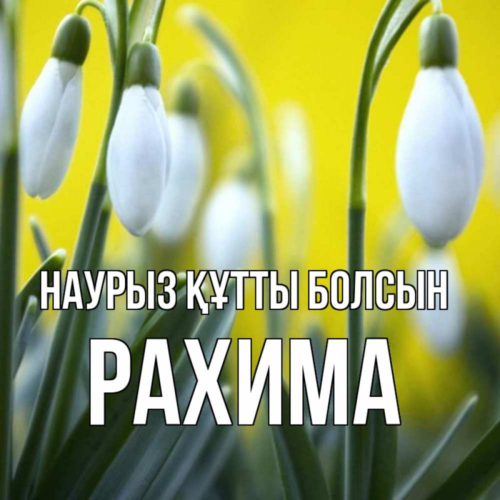 Күн сайын ашық хат с именем, РАХИМА Наурыз құтты болсын весенние цветы Онлайн тегін жүктеп алу тілектері бар керемет карта 