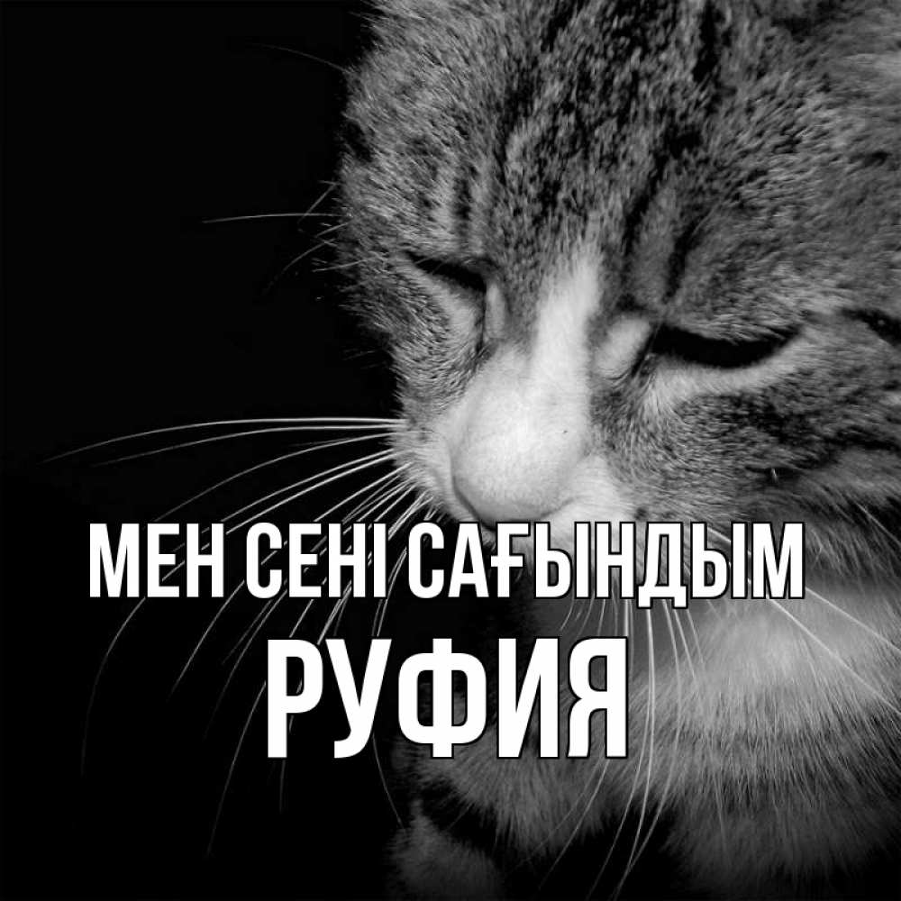 Күн сайын ашық хат с именем, РУФИЯ Мен сені сағындым мне скучно Онлайн тегін жүктеп алу тілектері бар керемет карта 