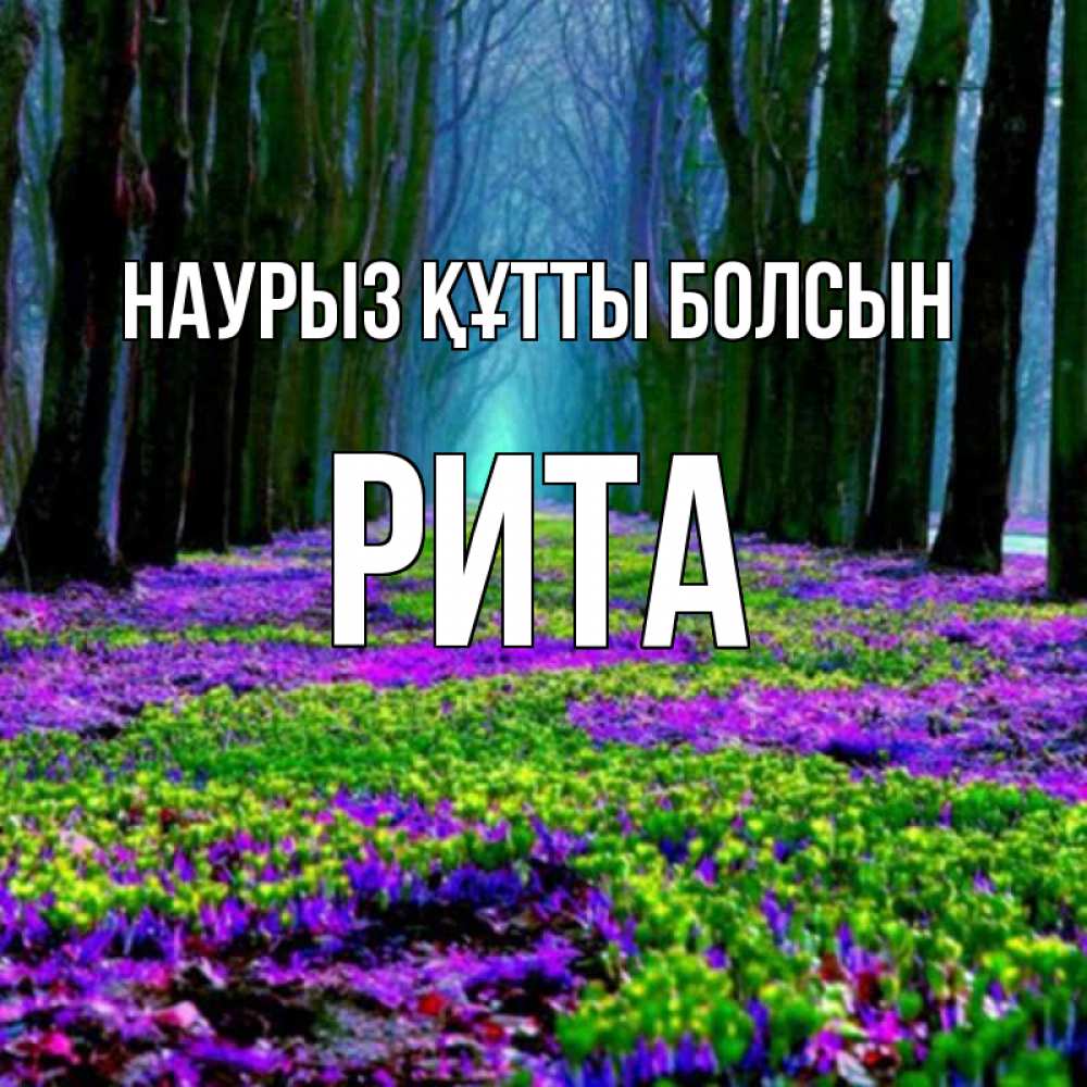 Күн сайын ашық хат с именем, Рита Наурыз құтты болсын фиолетовые цветы в лесу 1 Онлайн тегін жүктеп алу тілектері бар керемет карта 