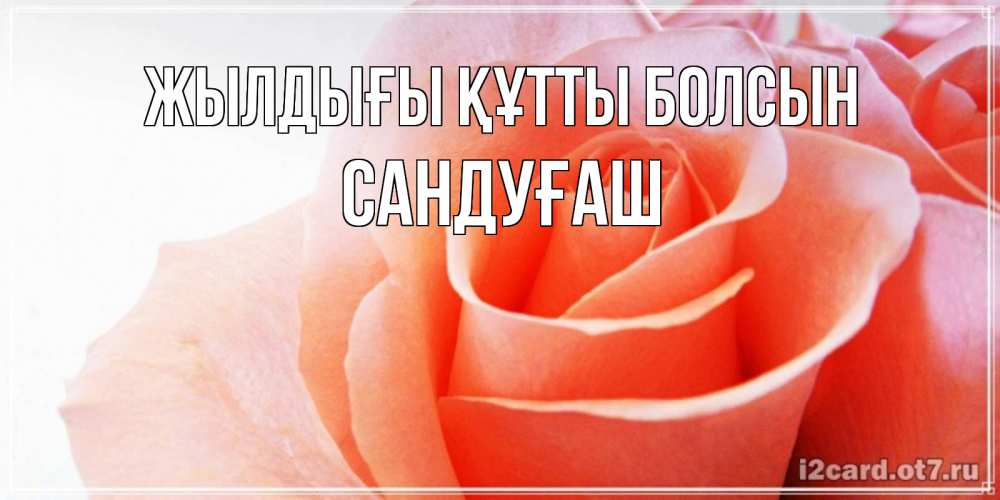 Күн сайын ашық хат с именем, САНДУҒАШ Жылдығы құтты болсын розы для поздравления с днем рождения Онлайн тегін жүктеп алу тілектері бар керемет карта 