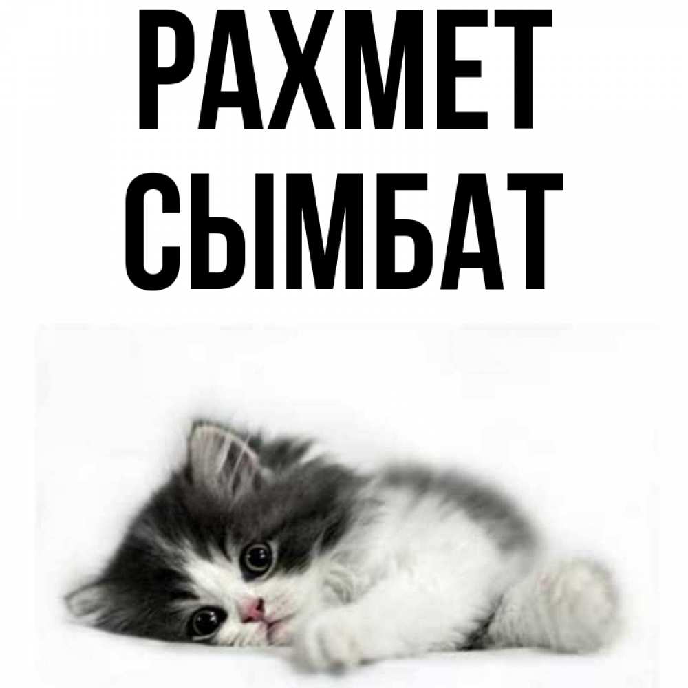 Күн сайын ашық хат с именем, СЫМБАТ рахмет черный и белый кот Онлайн тегін жүктеп алу тілектері бар керемет карта 