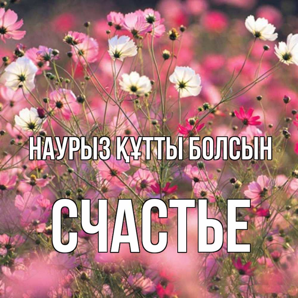 Күн сайын ашық хат с именем, Счастье Наурыз құтты болсын красиво 1 Онлайн тегін жүктеп алу тілектері бар керемет карта 