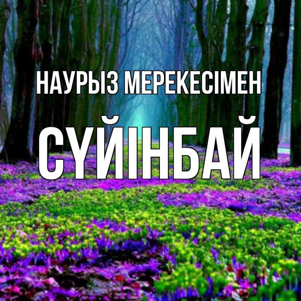 Күн сайын ашық хат с именем, СҮЙІНБАЙ Наурыз мерекесімен фиолетовые цветы в лесу 1 Онлайн тегін жүктеп алу тілектері бар керемет карта 