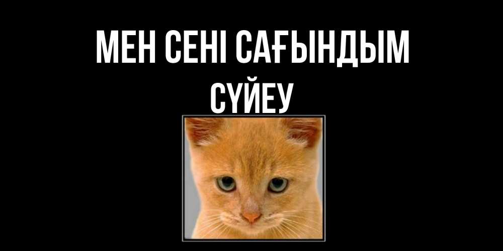 Күн сайын ашық хат с именем, СҮЙЕУ Мен сені сағындым открытки рыжий котенок скучает по тебе Онлайн тегін жүктеп алу тілектері бар керемет карта 