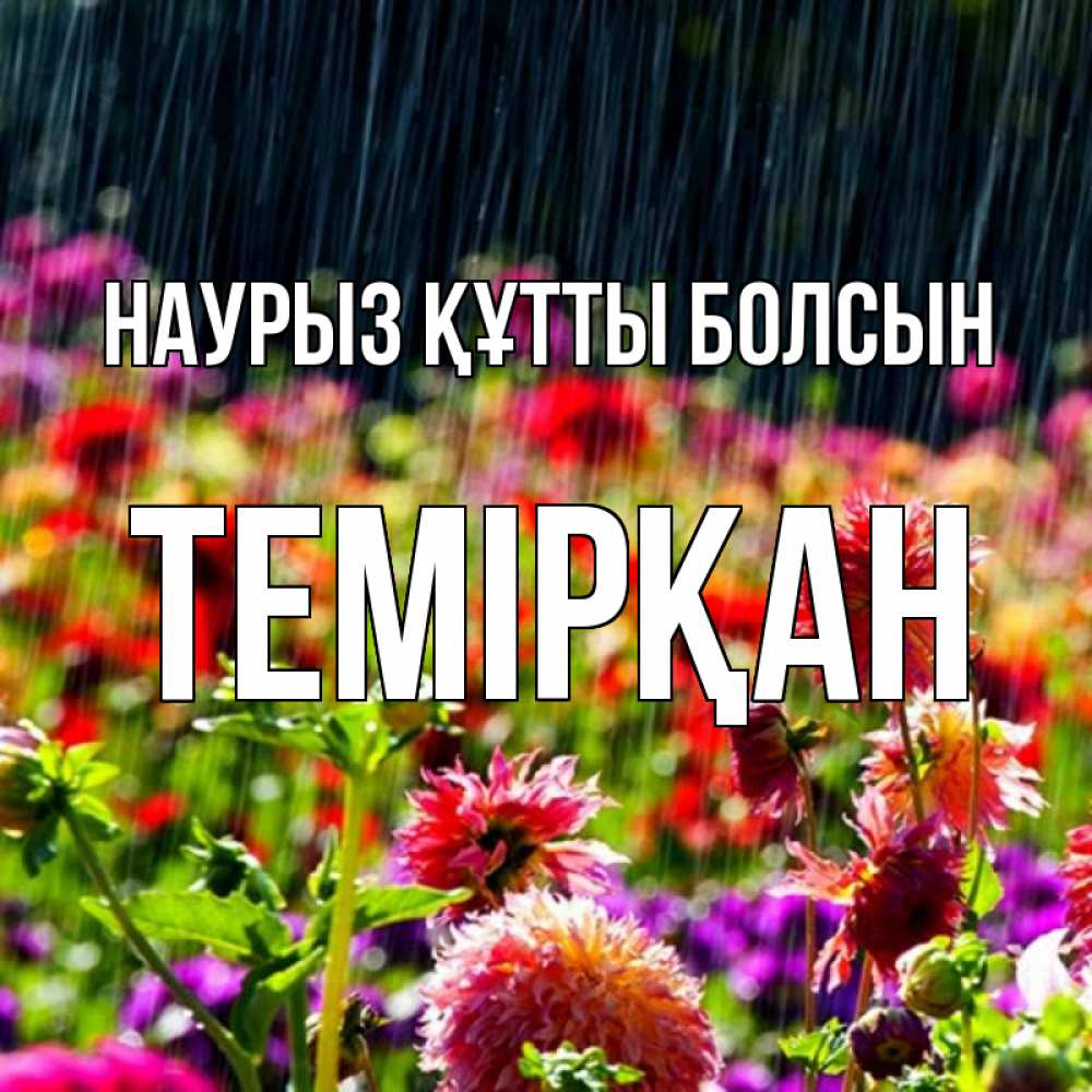 Күн сайын ашық хат с именем, ТЕМІРҚАН Наурыз құтты болсын цветы под дождиком к наурызу Онлайн тегін жүктеп алу тілектері бар керемет карта 