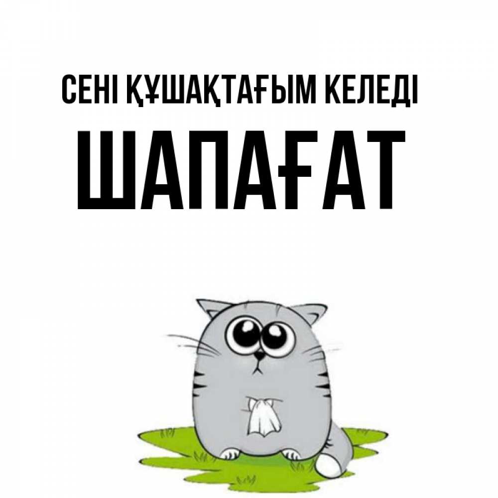 Күн сайын ашық хат с именем, ШАПАҒАТ сені құшақтағым келеді котик теребит платочек сидя на травке Онлайн тегін жүктеп алу тілектері бар керемет карта 