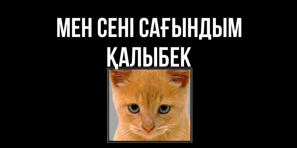 Күн сайын ашық хат с именем, Қалыбек Мен сені сағындым открытки рыжий котенок скучает по тебе Онлайн тегін жүктеп алу тілектері бар керемет карта 