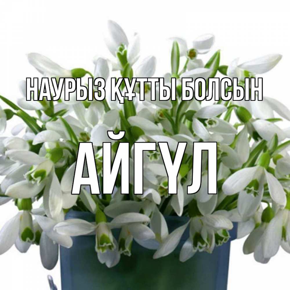 Күн сайын ашық хат с именем, АЙГҮЛ Наурыз құтты болсын цветы к наурызу Онлайн тегін жүктеп алу тілектері бар керемет карта 