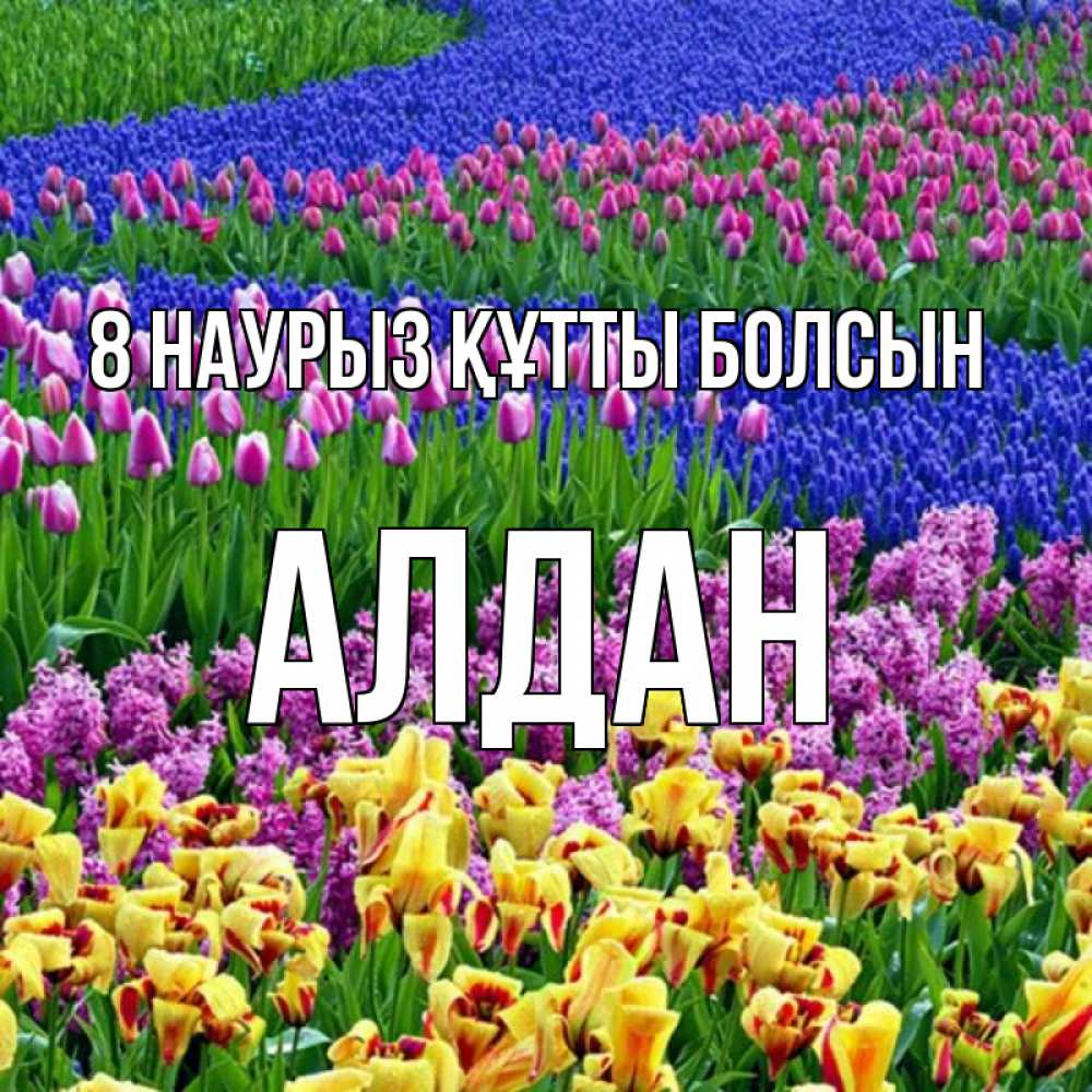 Күн сайын ашық хат с именем, Алдан 8 наурыз құтты болсын цветы Онлайн тегін жүктеп алу тілектері бар керемет карта 