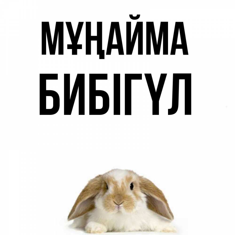 Күн сайын ашық хат с именем, БИБІГҮЛ Мұңайма коричнево белый заяц с большими ушками Онлайн тегін жүктеп алу тілектері бар керемет карта 
