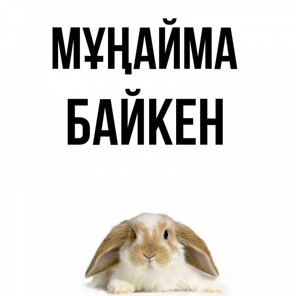 Күн сайын ашық хат с именем, Байкен Мұңайма коричнево белый заяц с большими ушками Онлайн тегін жүктеп алу тілектері бар керемет карта 