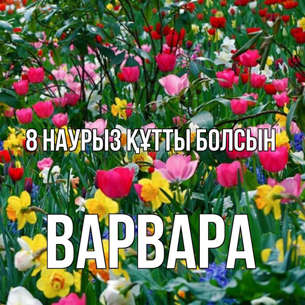 Күн сайын ашық хат с именем, Варвара 8 наурыз құтты болсын с международным женским днем поздравления для женщины Онлайн тегін жүктеп алу тілектері бар керемет карта 