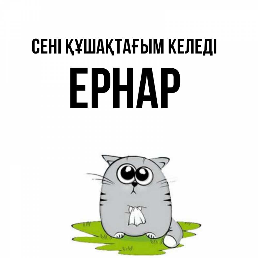 Күн сайын ашық хат с именем, Ернар сені құшақтағым келеді котик теребит платочек сидя на травке Онлайн тегін жүктеп алу тілектері бар керемет карта 