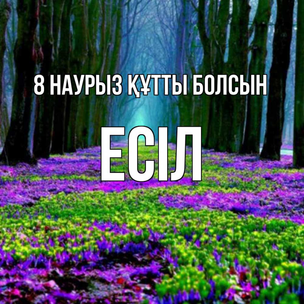 Күн сайын ашық хат с именем, Есіл 8 наурыз құтты болсын фиолетовые цветы в лесу 1 Онлайн тегін жүктеп алу тілектері бар керемет карта 