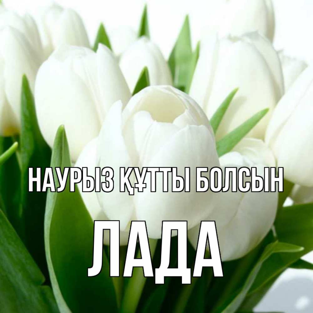 Күн сайын ашық хат с именем, Лада Наурыз құтты болсын цветы Онлайн тегін жүктеп алу тілектері бар керемет карта 