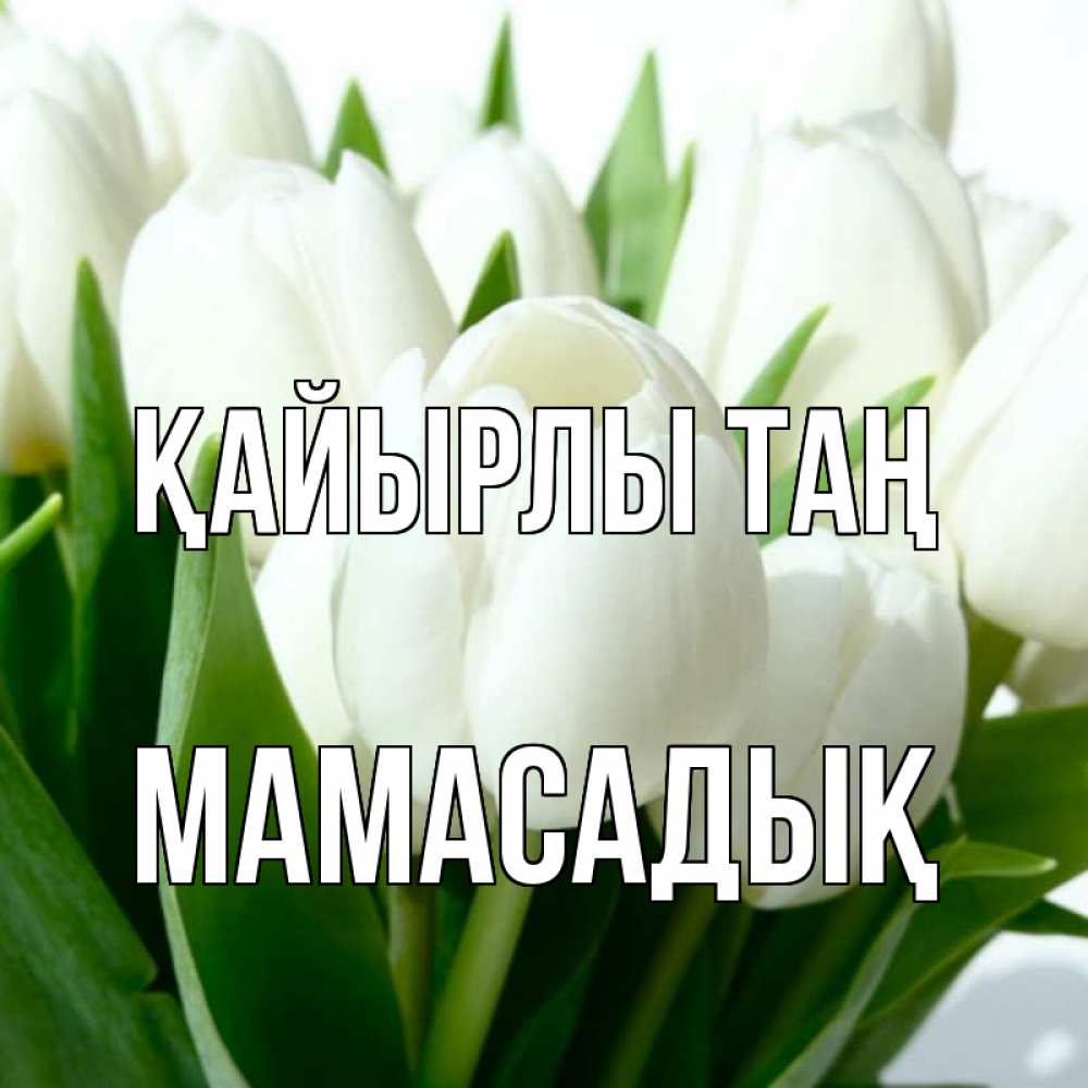 Күн сайын ашық хат с именем, МАМАСАДЫҚ Қайырлы таң открытки на каждый день по именам Онлайн тегін жүктеп алу тілектері бар керемет карта 