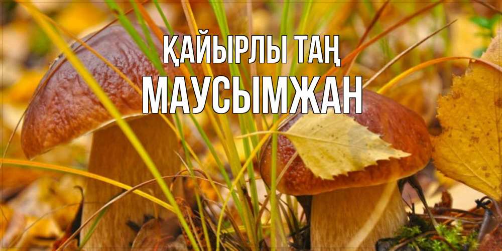 Күн сайын ашық хат с именем, МАУСЫМЖАН Қайырлы таң осенние грибы Онлайн тегін жүктеп алу тілектері бар керемет карта 
