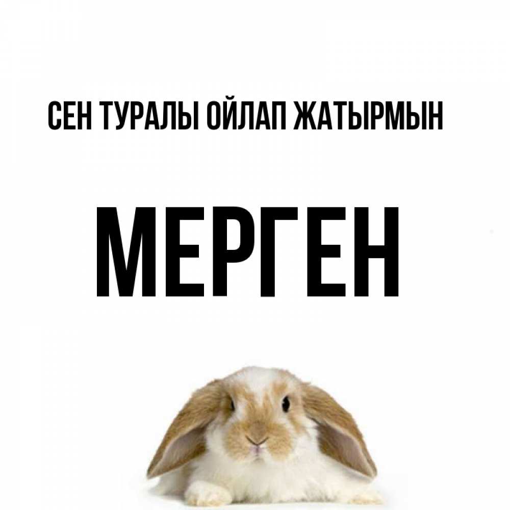 Күн сайын ашық хат с именем, МЕРГЕН Сен туралы ойлап жатырмын подписать своими руками онлайн Онлайн тегін жүктеп алу тілектері бар керемет карта 