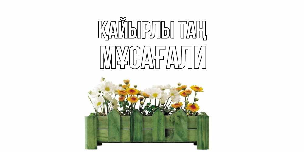 Күн сайын ашық хат с именем, Мұсағали Қайырлы таң цветы Онлайн тегін жүктеп алу тілектері бар керемет карта 