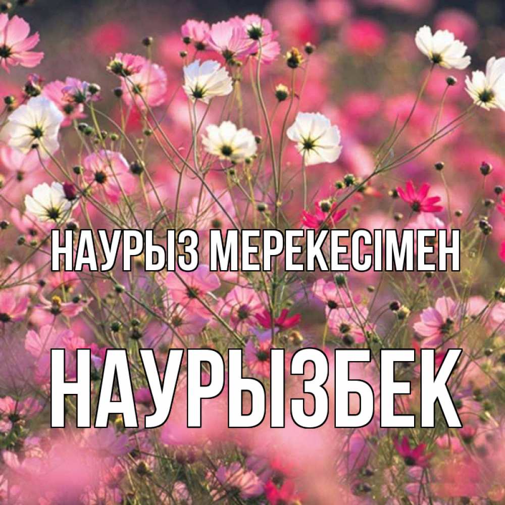 Күн сайын ашық хат с именем, Наурызбек Наурыз мерекесімен красиво 1 Онлайн тегін жүктеп алу тілектері бар керемет карта 