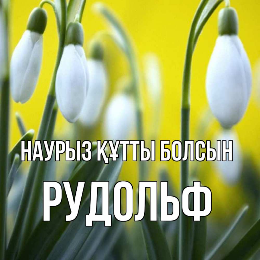 Күн сайын ашық хат с именем, Рудольф Наурыз құтты болсын весенние цветы Онлайн тегін жүктеп алу тілектері бар керемет карта 