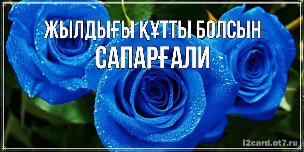 Күн сайын ашық хат с именем, САПАРҒАЛИ Жылдығы құтты болсын розы с синим цветом Онлайн тегін жүктеп алу тілектері бар керемет карта 