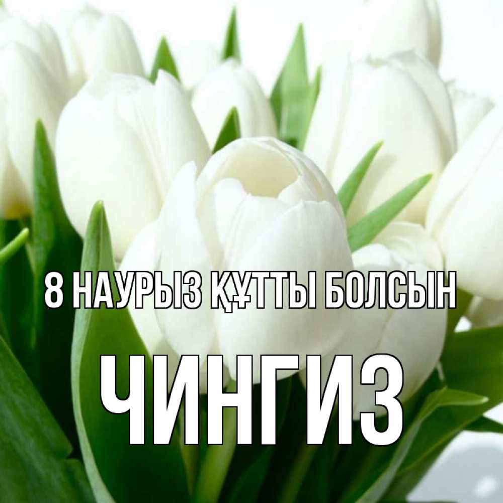 Күн сайын ашық хат с именем, Чингиз 8 наурыз құтты болсын цветы Онлайн тегін жүктеп алу тілектері бар керемет карта 