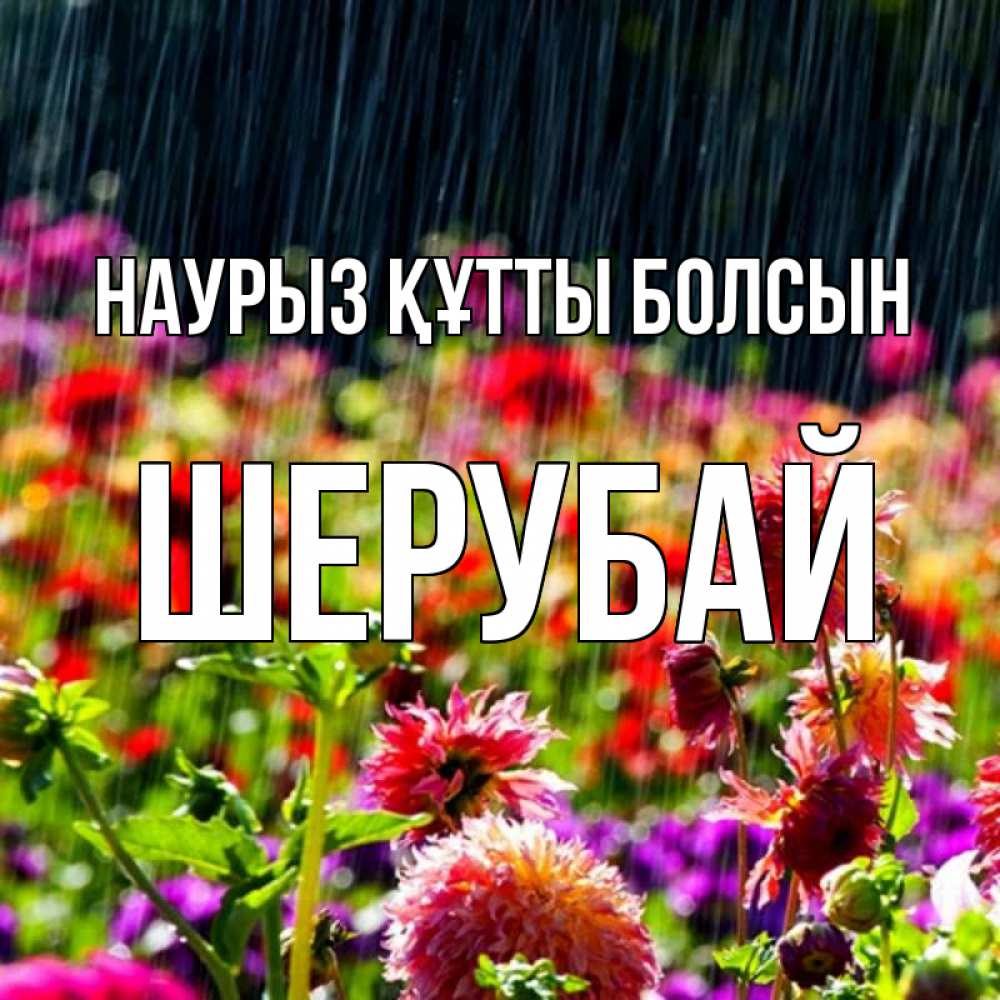 Күн сайын ашық хат с именем, ШЕРУБАЙ Наурыз құтты болсын цветы под дождиком к наурызу Онлайн тегін жүктеп алу тілектері бар керемет карта 