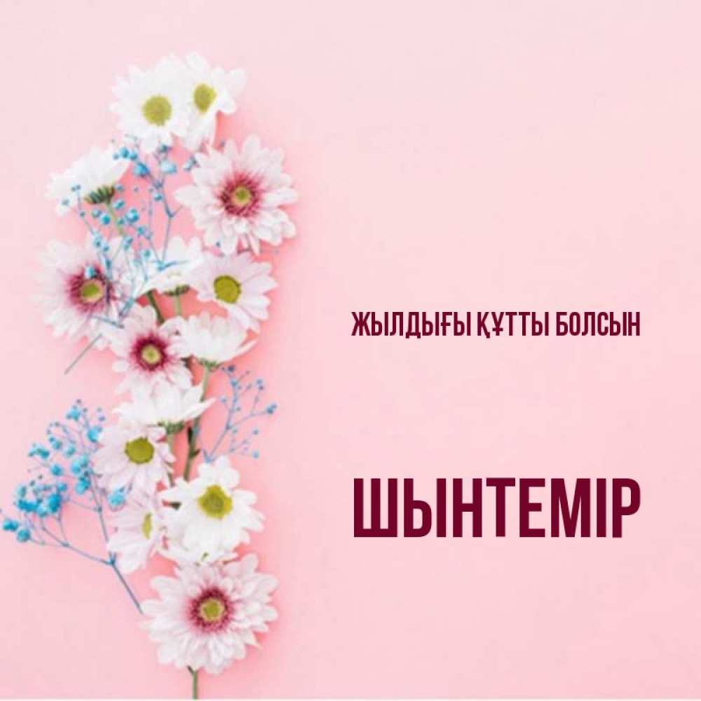 Күн сайын ашық хат с именем, ШЫНТЕМІР Жылдығы құтты болсын Родная моя с днем рождения тебя картинка с цветами белыми и голубыми Онлайн тегін жүктеп алу тілектері бар керемет карта 