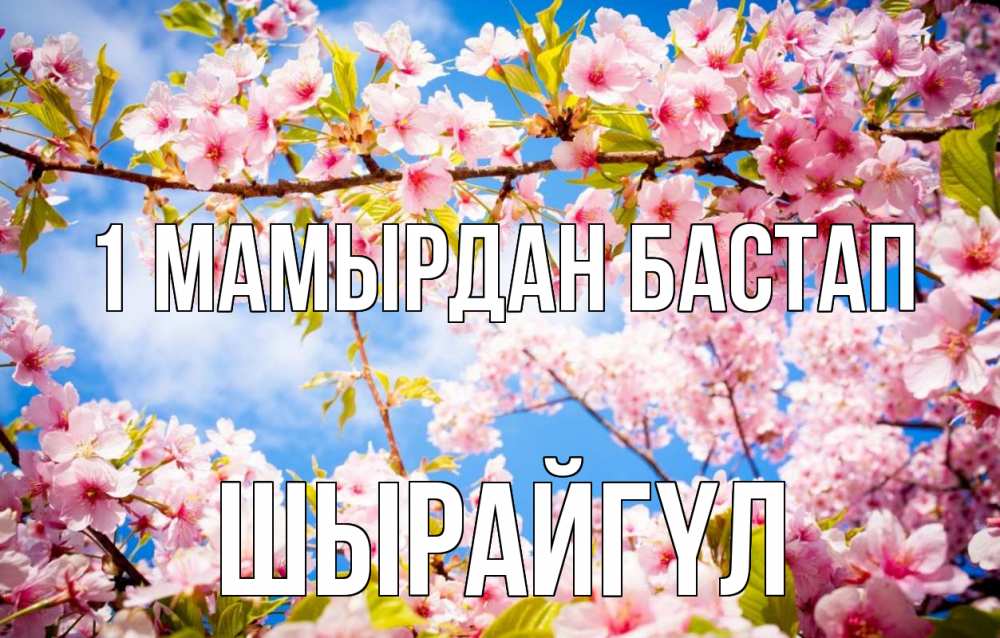 Күн сайын ашық хат с именем, ШЫРАЙГҮЛ 1 мамырдан бастап С 1 мая Онлайн тегін жүктеп алу тілектері бар керемет карта 