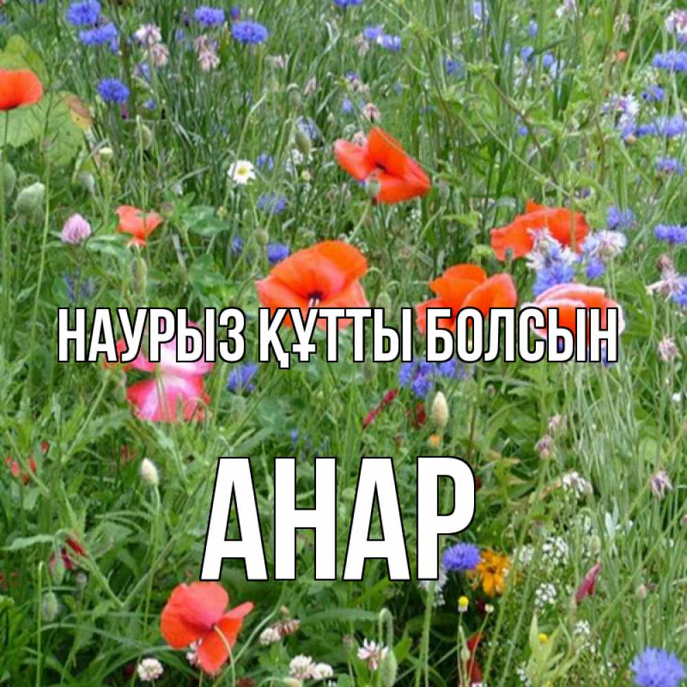Күн сайын ашық хат с именем, АНАР Наурыз құтты болсын наурыз  4 Онлайн тегін жүктеп алу тілектері бар керемет карта 