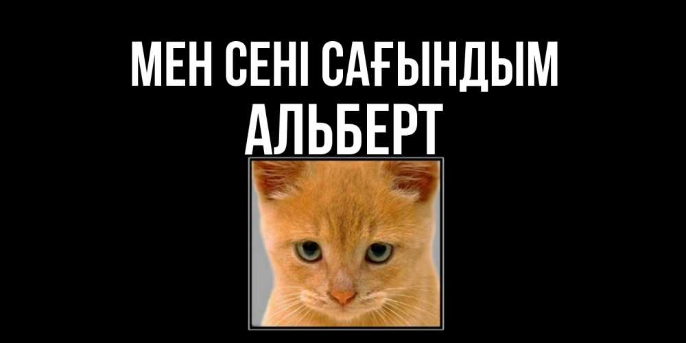 Күн сайын ашық хат с именем, Альберт Мен сені сағындым открытки рыжий котенок скучает по тебе Онлайн тегін жүктеп алу тілектері бар керемет карта 
