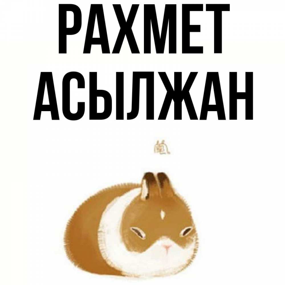 Күн сайын ашық хат с именем, Асылжан рахмет коричнево белый домашний питомец Онлайн тегін жүктеп алу тілектері бар керемет карта 
