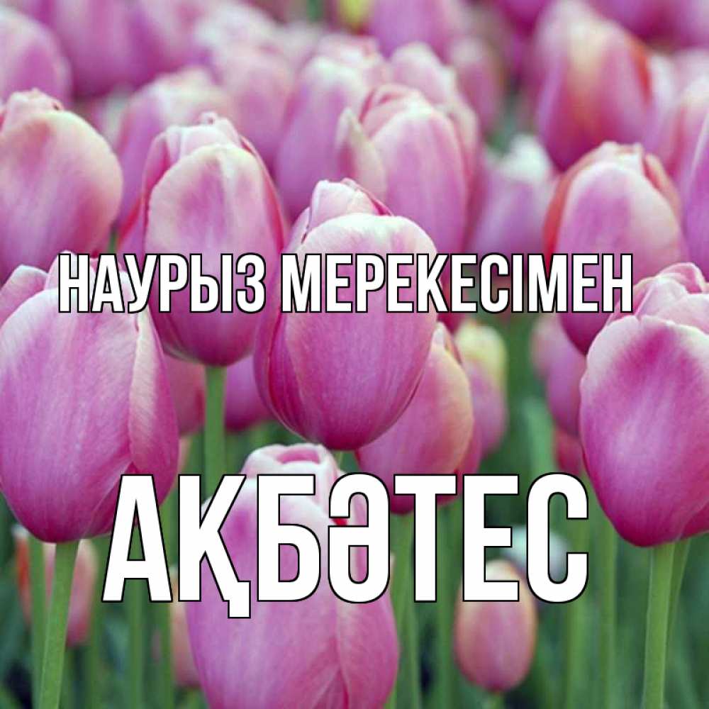 Күн сайын ашық хат с именем, АҚБӘТЕС Наурыз мерекесімен праздник весны наурыз 69 Онлайн тегін жүктеп алу тілектері бар керемет карта 