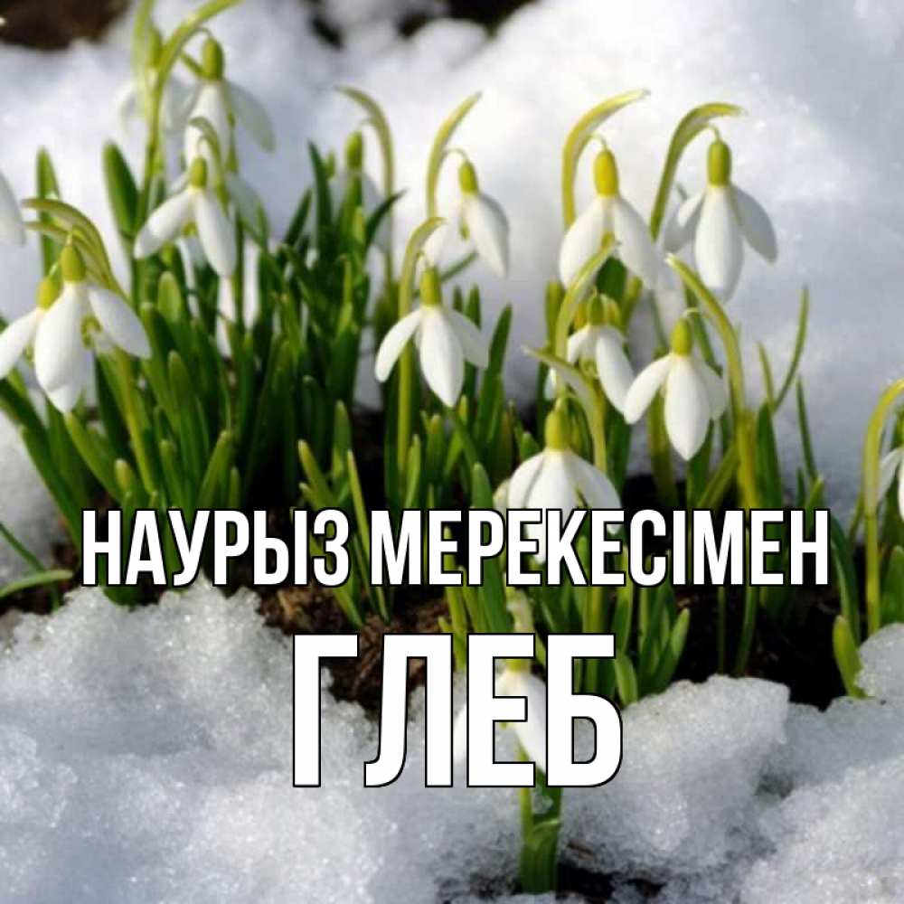 Күн сайын ашық хат с именем, Глеб Наурыз мерекесімен цветы весенние Онлайн тегін жүктеп алу тілектері бар керемет карта 