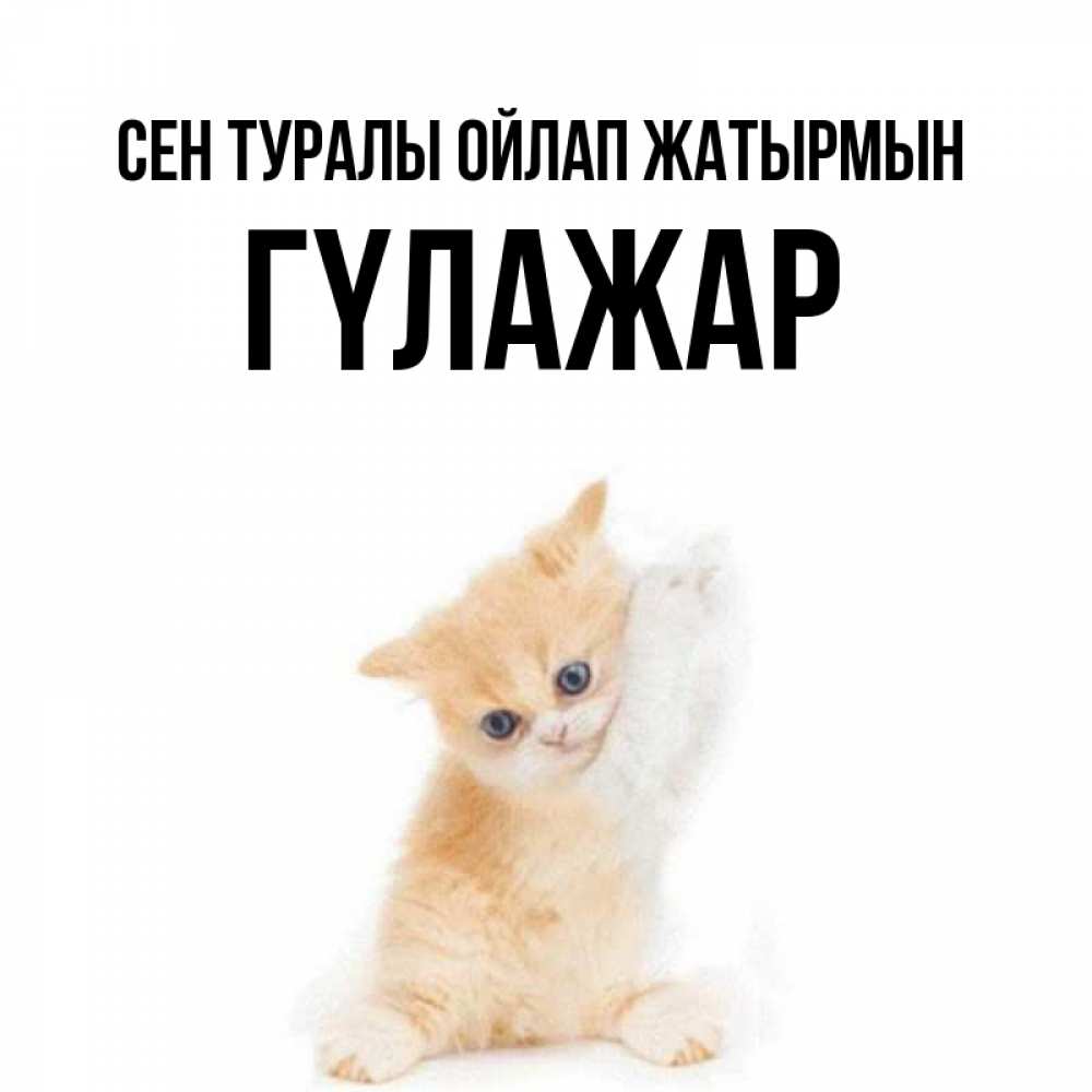 Күн сайын ашық хат с именем, ГҮЛАЖАР Сен туралы ойлап жатырмын зверушки и милота Онлайн тегін жүктеп алу тілектері бар керемет карта 