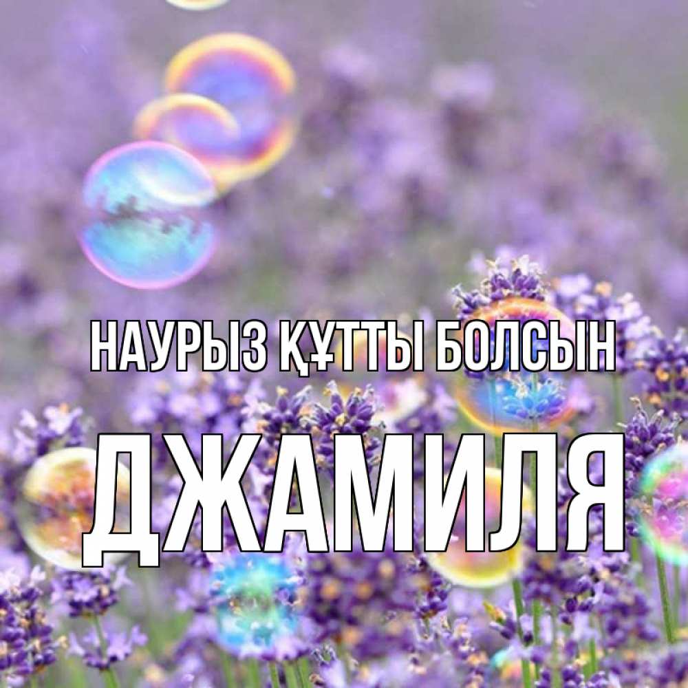 Күн сайын ашық хат с именем, Джамиля Наурыз құтты болсын цветы Онлайн тегін жүктеп алу тілектері бар керемет карта 