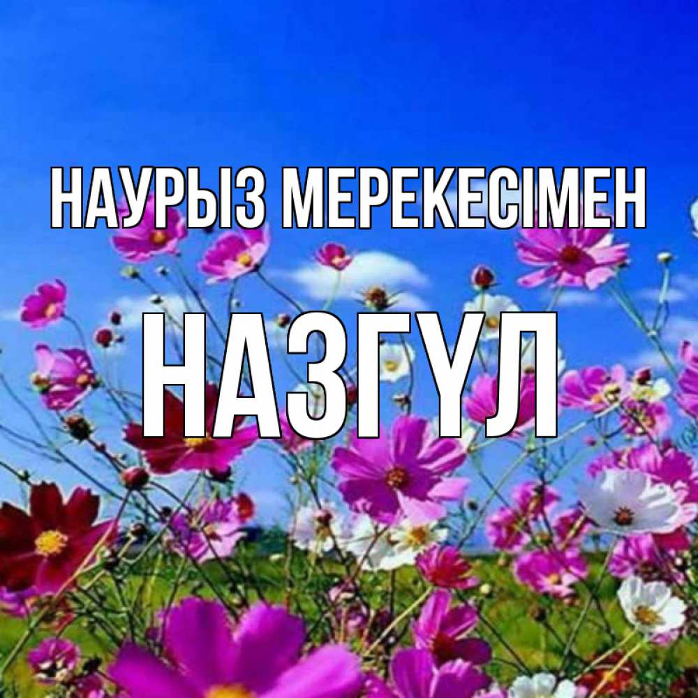 Күн сайын ашық хат с именем, НАЗГҮЛ Наурыз мерекесімен цветы Онлайн тегін жүктеп алу тілектері бар керемет карта 