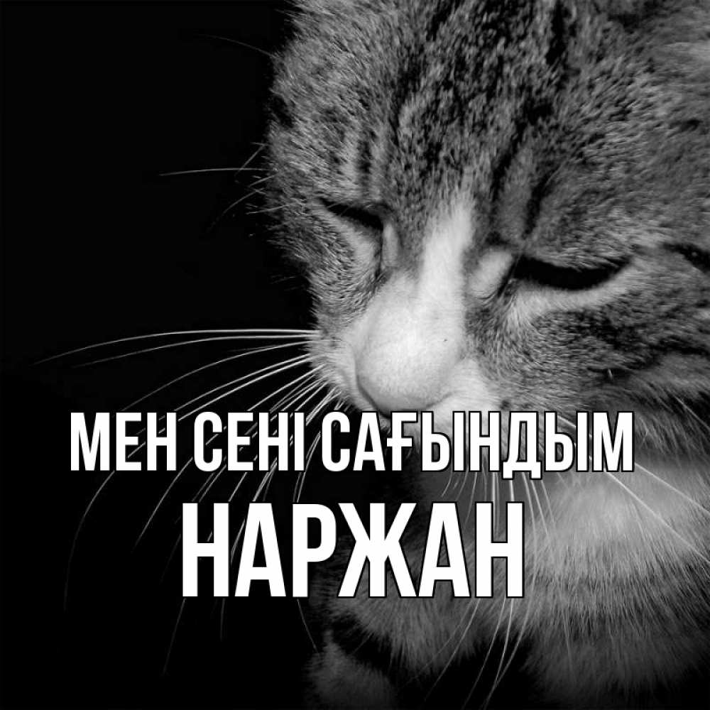 Күн сайын ашық хат с именем, Наржан Мен сені сағындым мне скучно Онлайн тегін жүктеп алу тілектері бар керемет карта 