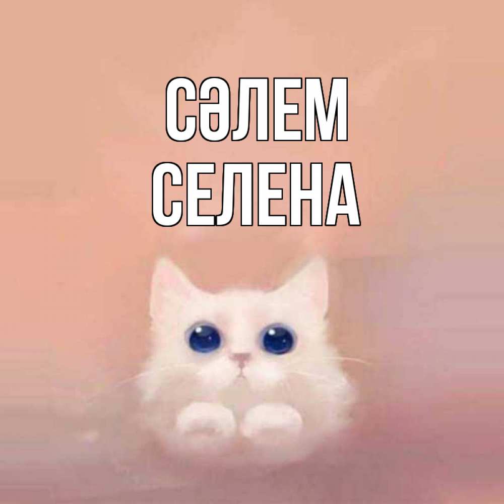Күн сайын ашық хат с именем, Селена Сәлем котик белый в полете Онлайн тегін жүктеп алу тілектері бар керемет карта 