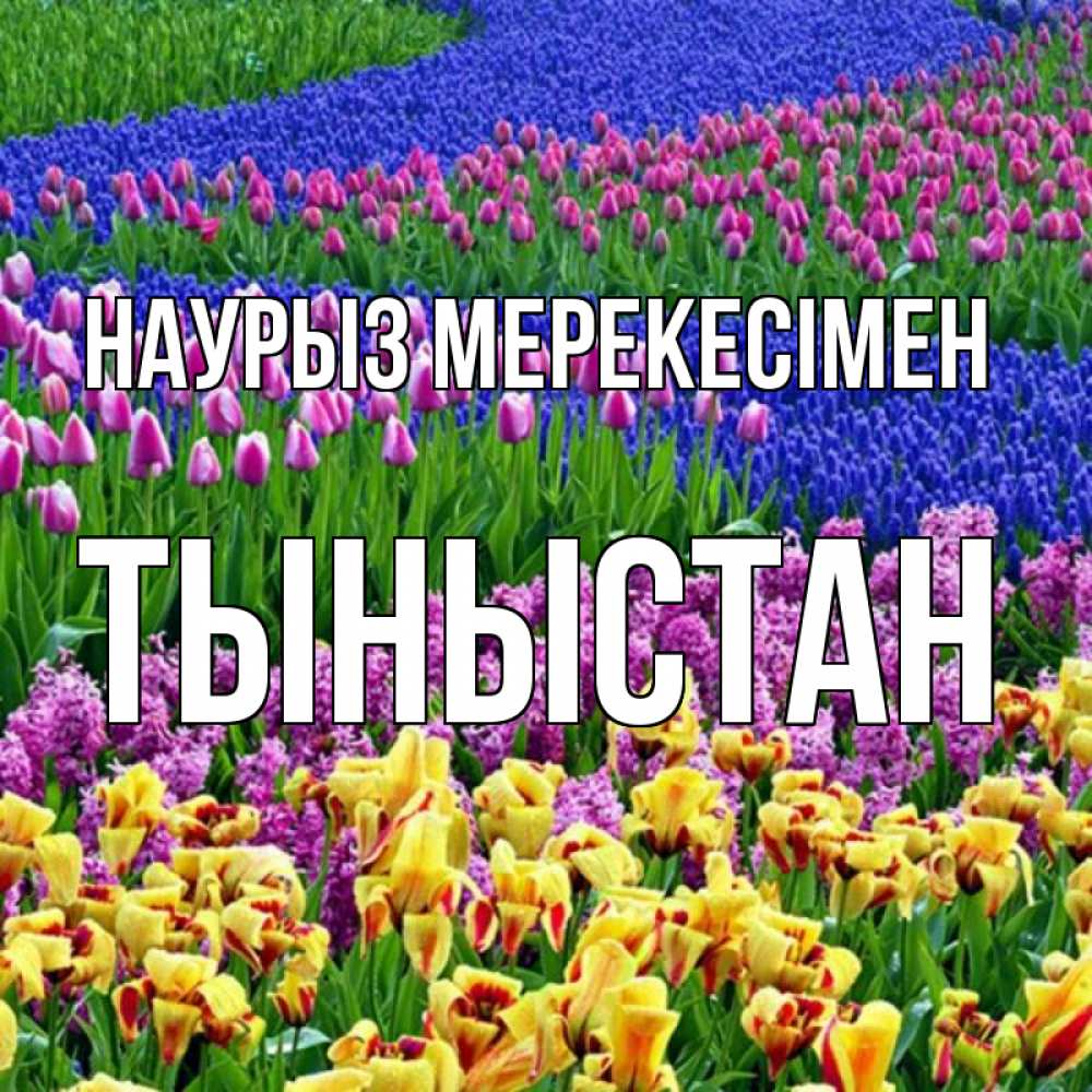 Күн сайын ашық хат с именем, ТЫНЫСТАН Наурыз мерекесімен цветы Онлайн тегін жүктеп алу тілектері бар керемет карта 