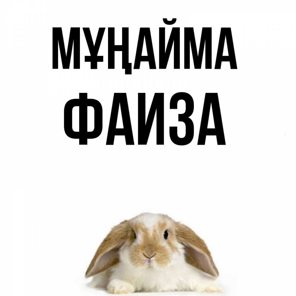 Күн сайын ашық хат с именем, Фаиза Мұңайма коричнево белый заяц с большими ушками Онлайн тегін жүктеп алу тілектері бар керемет карта 